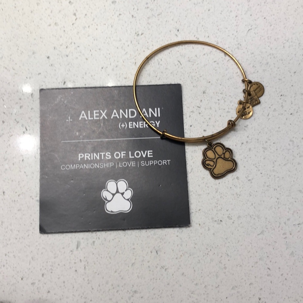 Alex and Ani bracelet